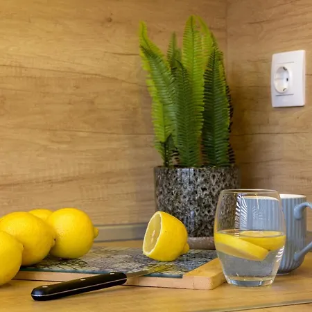 Chayka Comfort * Warna