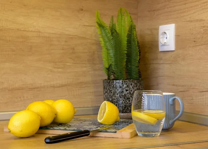 Chayka Comfort * Varna